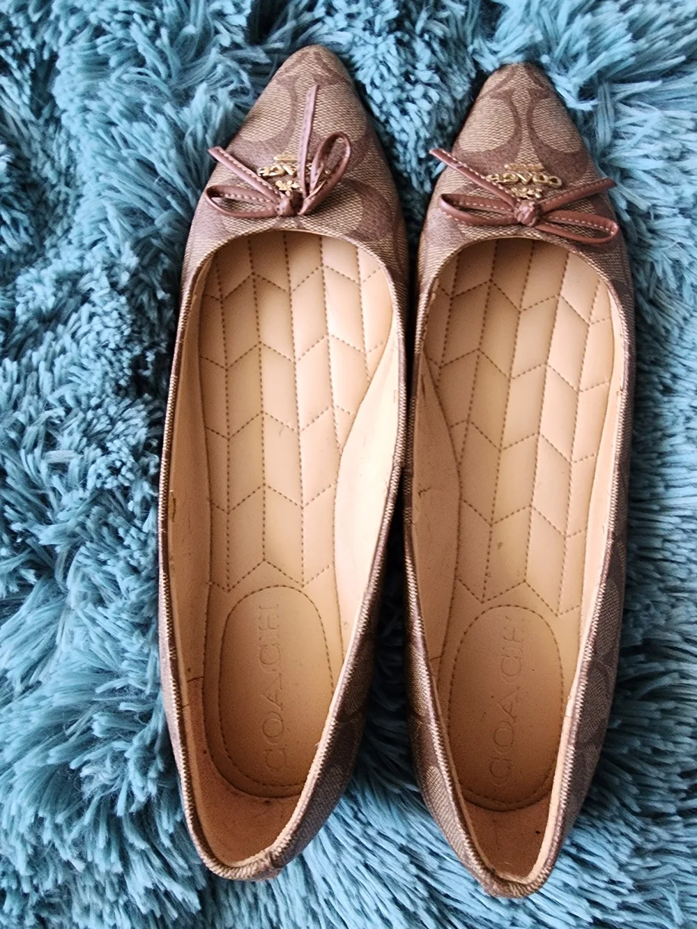 Coach pointed toe
